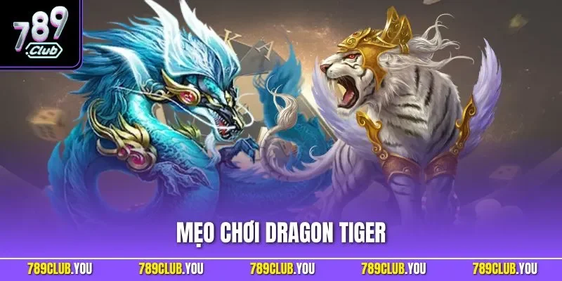 Mẹo chơi Dragon Tiger